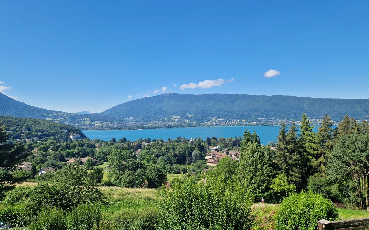 PHOTO-2024-07-23-12-22-23