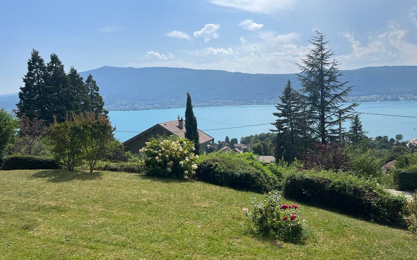 WhatsApp Image 2023-07-11 at 16.08.30 (1)